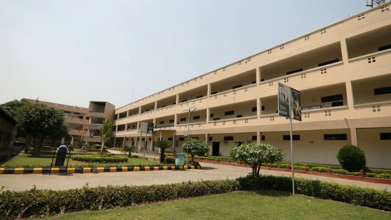 Digital Skills Program